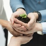 Growing Your Business Without Breaking the Bank